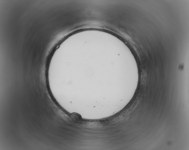 X0000116861464201001191651