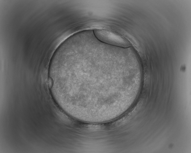 X0000116861465201001191651