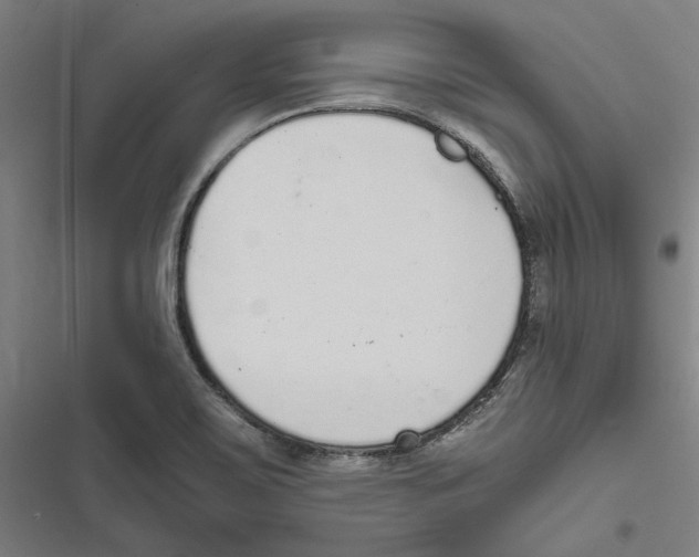 X0000116861467201001191651