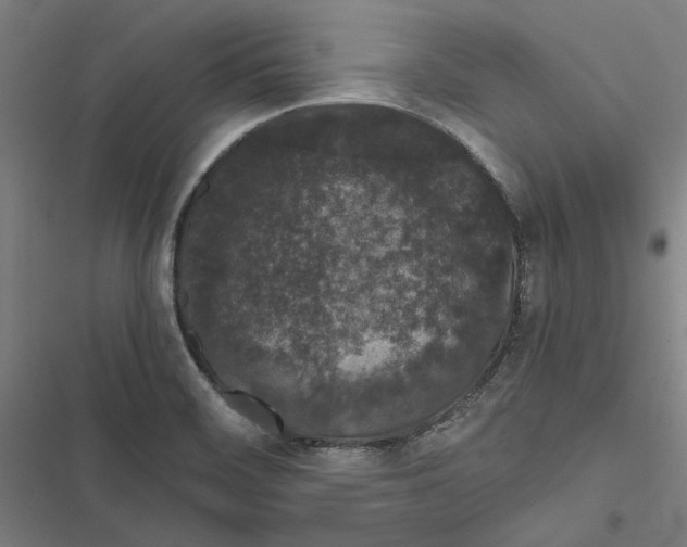 X0000116861468201001191651