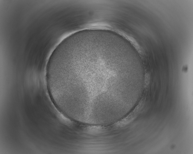 X0000116861470201001191651