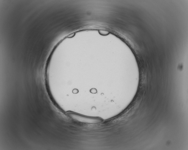 X0000116861471201001191651