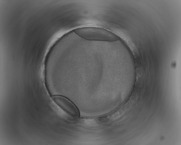 X0000116861472201001191651