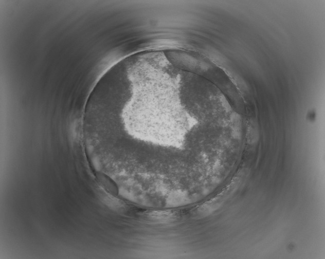 X0000116861473201001191651