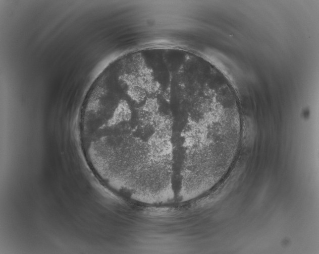 X0000116861474201001191651