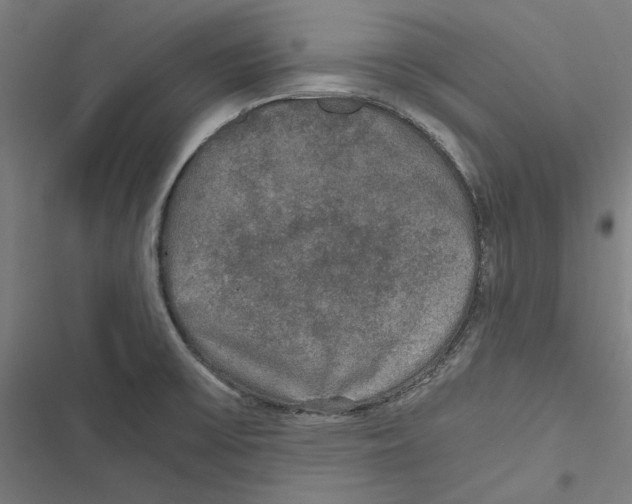 X0000116861475201001191651