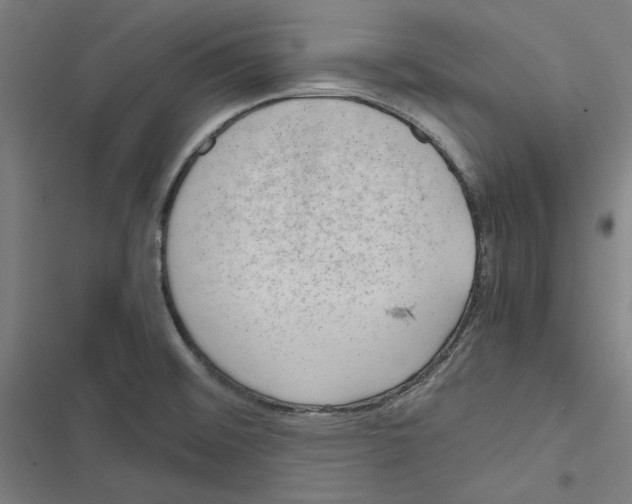 X0000116861476201001191651