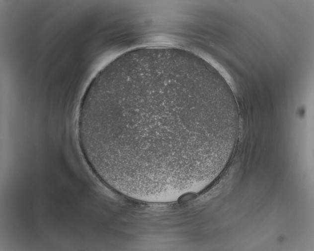 X0000116861477201001191651