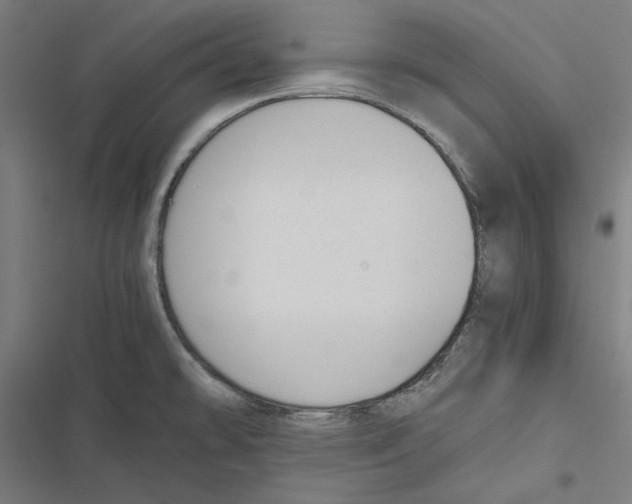 X0000116861478201001191651