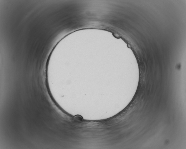 X0000116861479201001191651