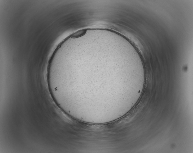 X0000116861480201001191651