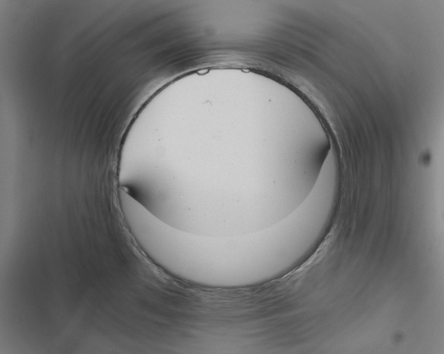 X0000116861481201001191651