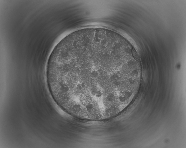 X0000116861482201001191651