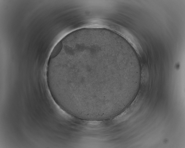 X0000116861484201001191651