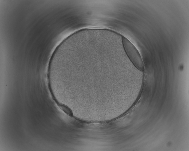 X0000116861485201001191651