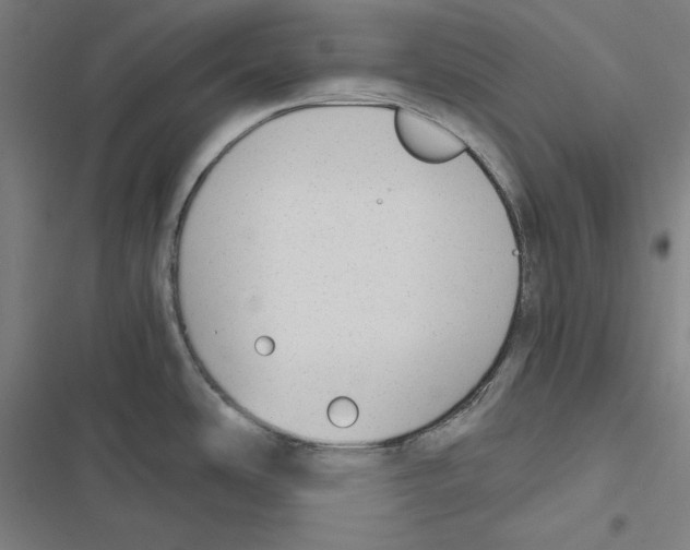 X0000116861486201001191651