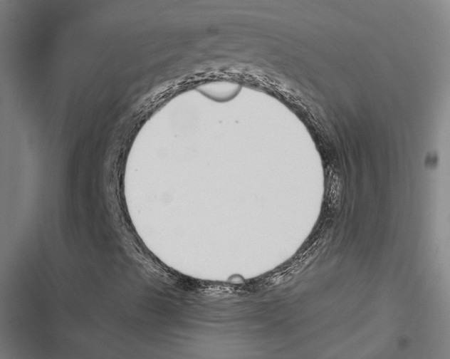 X0000116861489201001191650