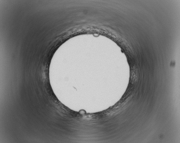 X0000116861490201001191650