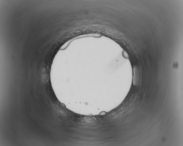 X0000116861491201001191650