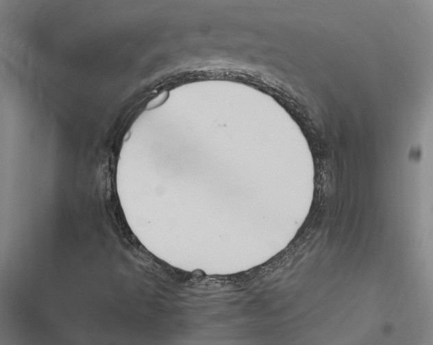 X0000116861493201001191650