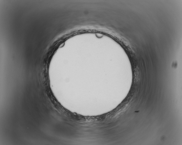 X0000116861494201001191650