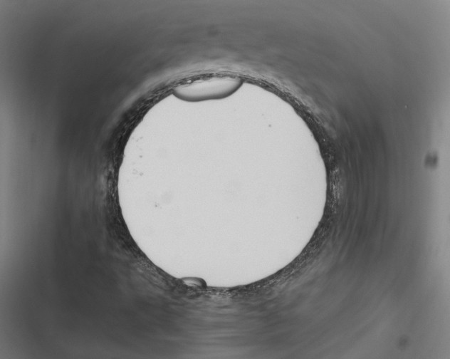 X0000116861495201001191650