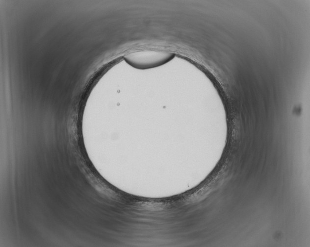 X0000116861499201001191650