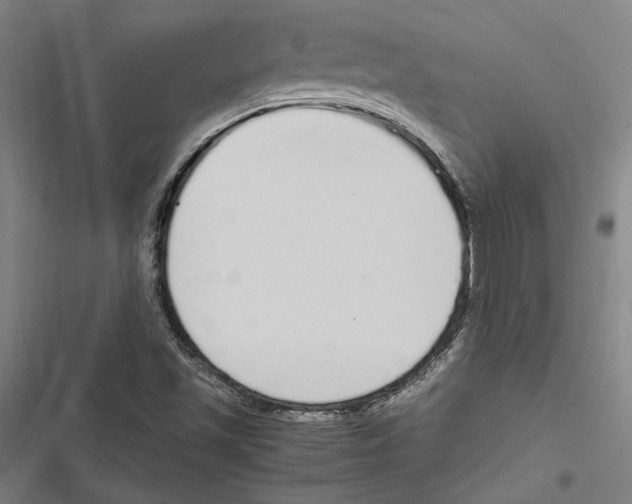 X0000116861501201001191650