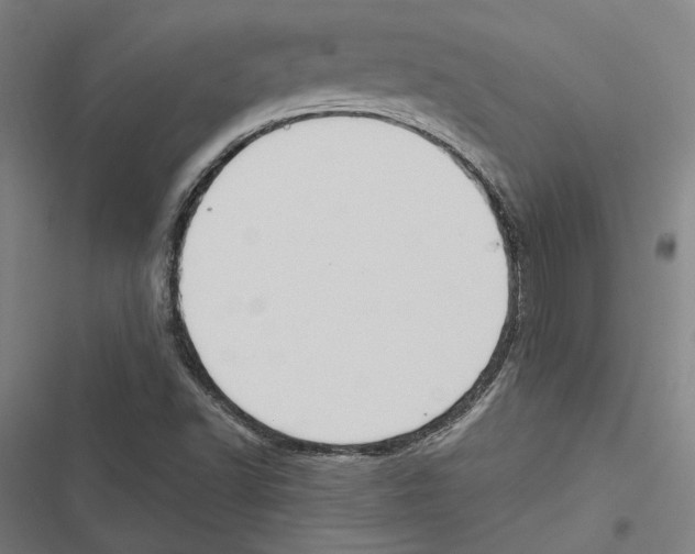 X0000116861502201001191650