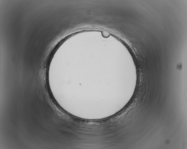 X0000116861503201001191650