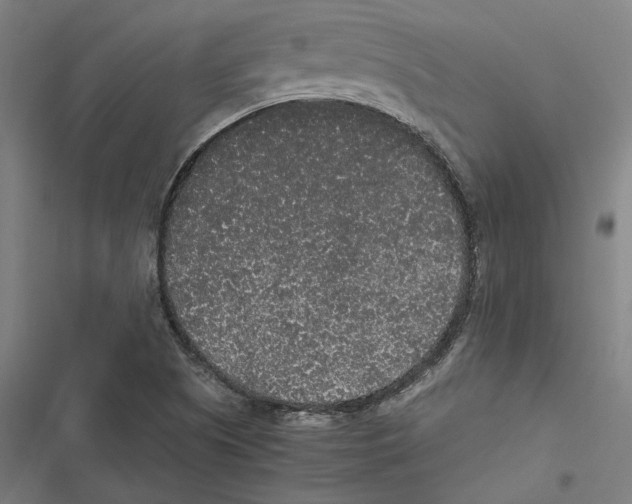 X0000116861505201001191650