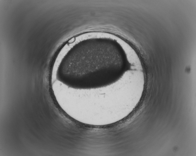 X0000116861506201001191650