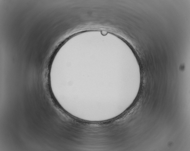 X0000116861507201001191650