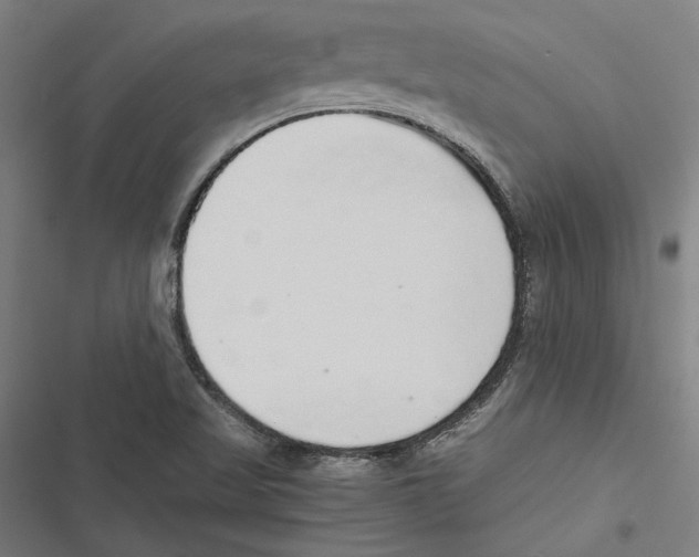 X0000116861509201001191650