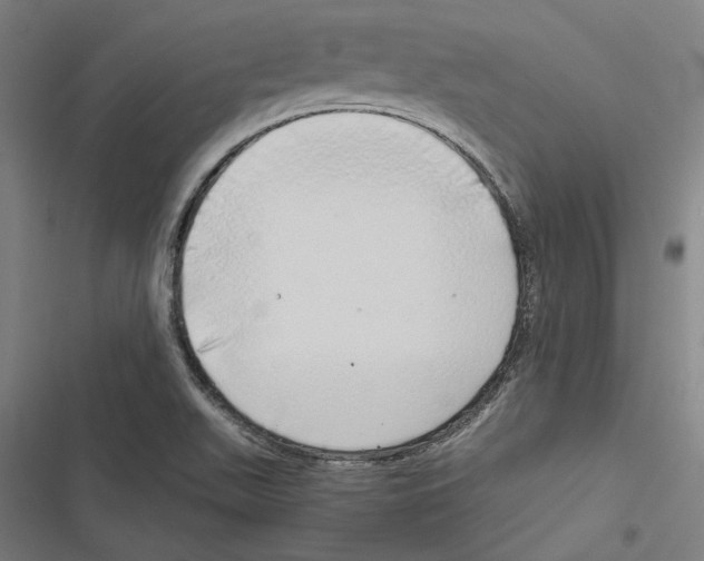 X0000116861511201001191650