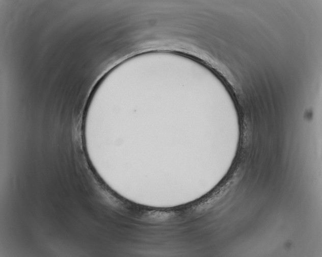 X0000116861513201001191650