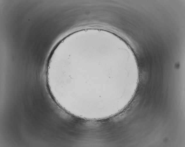 X0000116861514201001191650