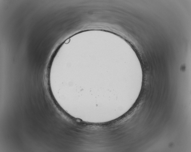 X0000116861517201001191650