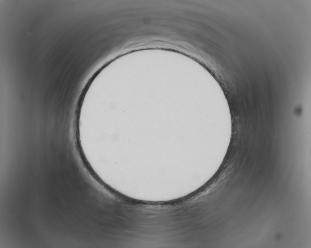 X0000116861518201001191650