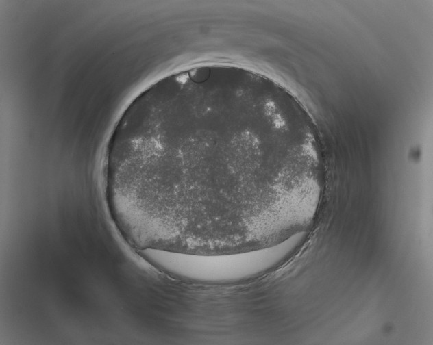 X0000116861519201001191650