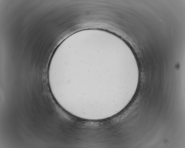 X0000116861521201001191651