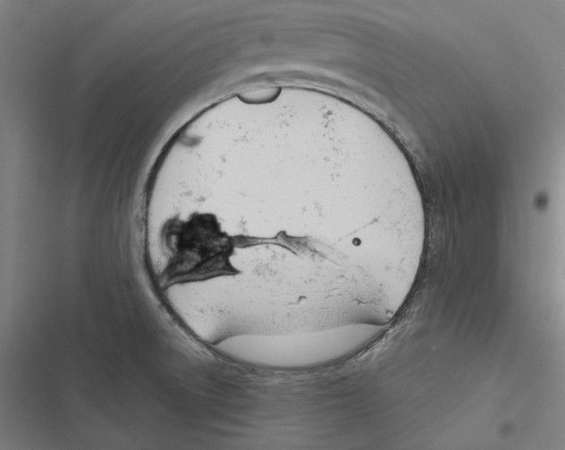 X0000116861522201001191651