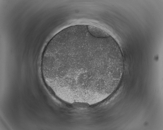 X0000116861525201001191651