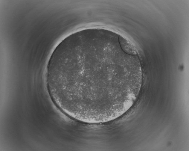 X0000116861527201001191651