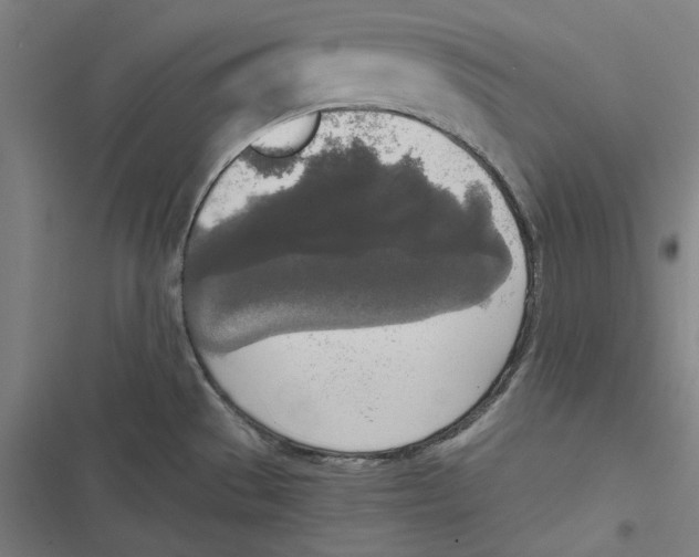 X0000116861529201001191651