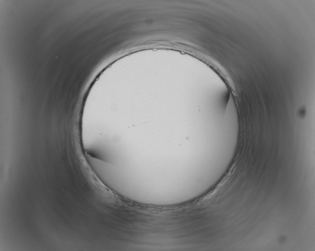 X0000116861530201001191651