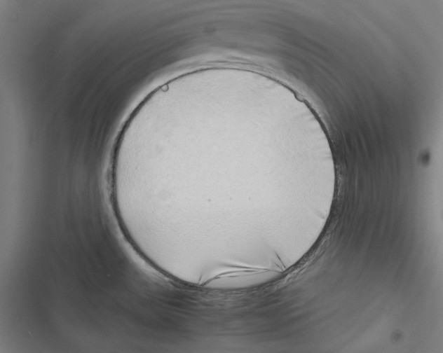 X0000116861531201001191651