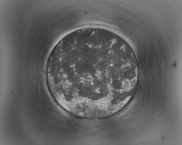 X0000116861533201001191651