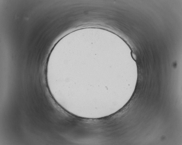 X0000116861534201001191651