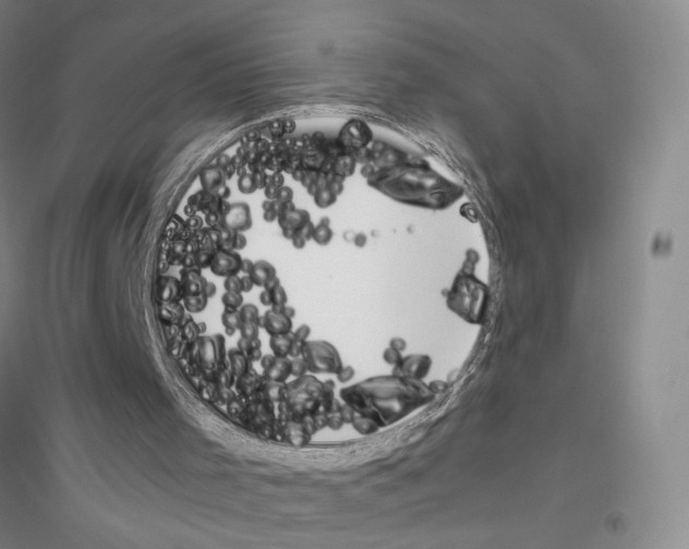 X0000116860001201002021116